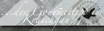 logo mit typografie restaurant blaue ente in mhlhausen
