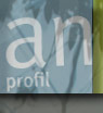 detail profil website webandprint in mhlhausen